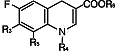 19.gif (937 bytes)