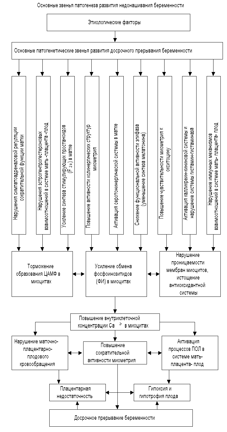 drawing1.bmp (1369718 bytes)