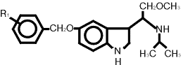 18.gif (2011 bytes)