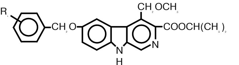 p41.gif (6599 bytes)