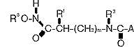 g05.gif (963 bytes)