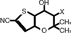 g10.gif (922 bytes)
