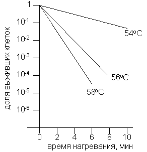 рис. 2б