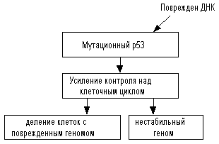 рис. 3