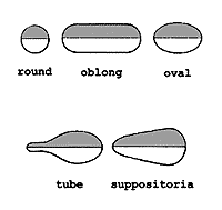 kapsul2.gif (2202 bytes)