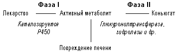 рис. 1