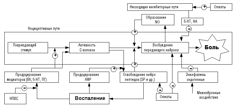 рис. 2