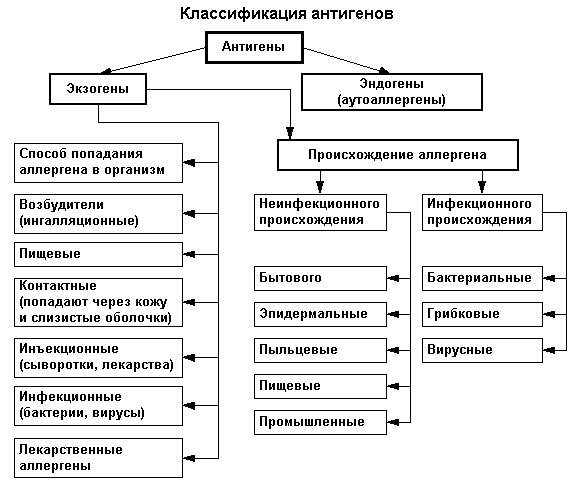 рис. 1