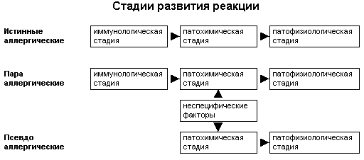 рис 1