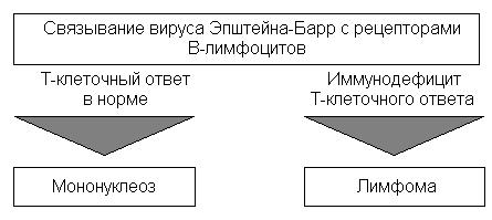 рис. 1