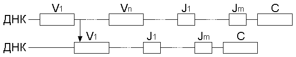рис. 3