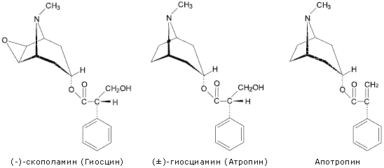 (-)-скопаламин (Гиосцин), (±)-гиосциамин (Атропин), Апотропин