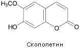 Скополетин