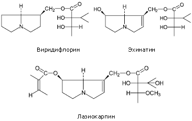 Виридифлорин, Эхинатин, Лазиокарпин