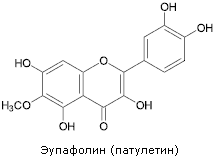 Эупафолин (патулетин)