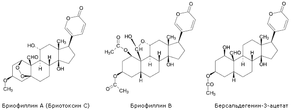 Бриофиллин А (Бриотоксин С), бриофиллин В, берсальдегенин-3-ацетат