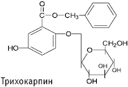 Трихокарпин