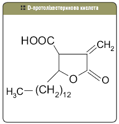 D-протоліхестеринова кислота