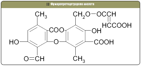 Фумаропротоцетрарова кислота